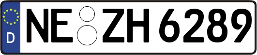 NE-ZH6289
