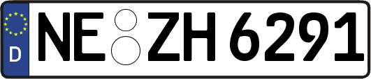 NE-ZH6291