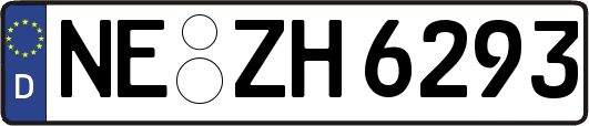 NE-ZH6293