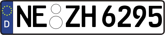 NE-ZH6295