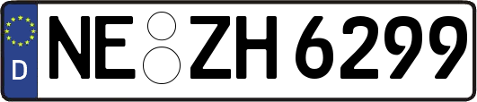 NE-ZH6299
