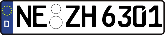 NE-ZH6301
