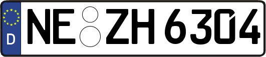 NE-ZH6304
