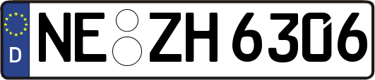 NE-ZH6306