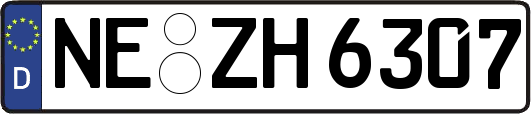 NE-ZH6307