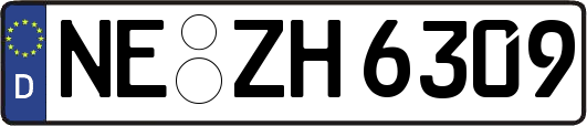 NE-ZH6309