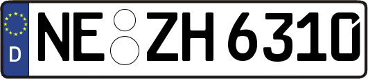 NE-ZH6310