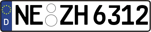 NE-ZH6312