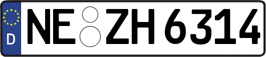 NE-ZH6314