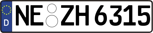 NE-ZH6315