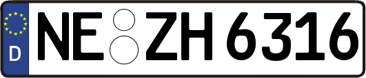 NE-ZH6316