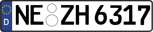 NE-ZH6317