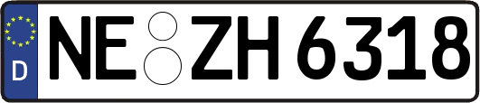 NE-ZH6318