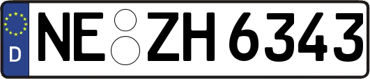 NE-ZH6343