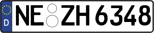 NE-ZH6348
