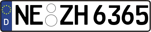 NE-ZH6365