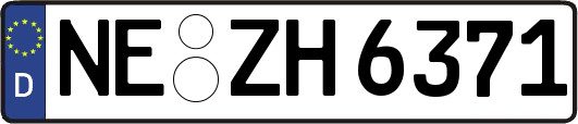 NE-ZH6371