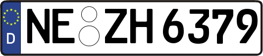 NE-ZH6379