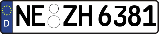 NE-ZH6381