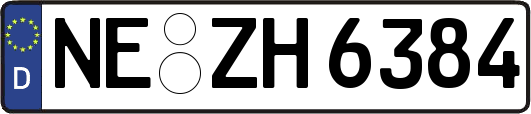 NE-ZH6384