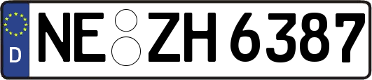 NE-ZH6387