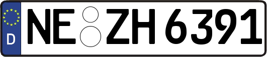 NE-ZH6391