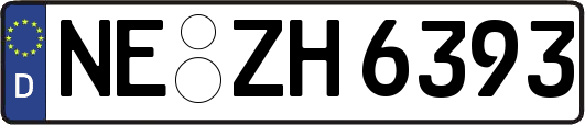 NE-ZH6393
