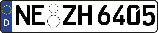 NE-ZH6405