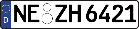 NE-ZH6421