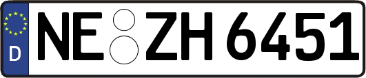 NE-ZH6451