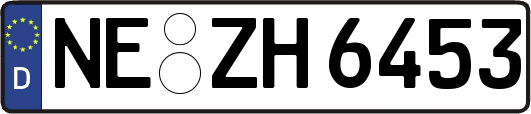NE-ZH6453