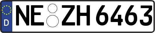 NE-ZH6463