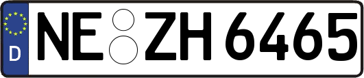 NE-ZH6465