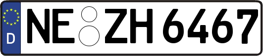 NE-ZH6467