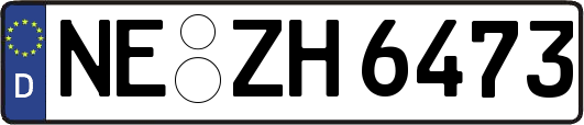 NE-ZH6473