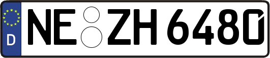 NE-ZH6480