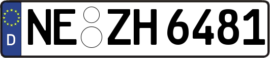 NE-ZH6481