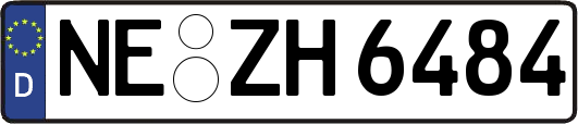 NE-ZH6484