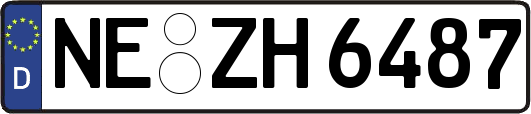 NE-ZH6487