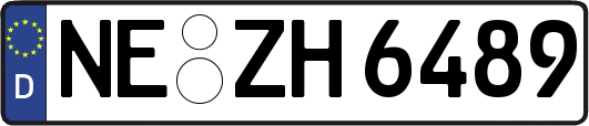 NE-ZH6489