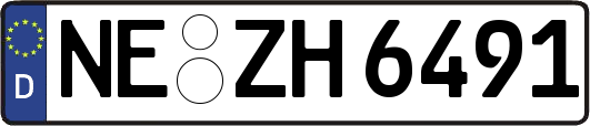 NE-ZH6491