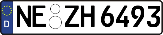 NE-ZH6493