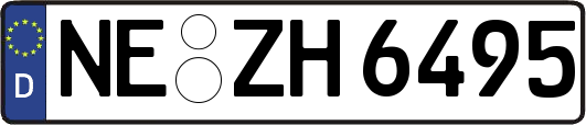 NE-ZH6495