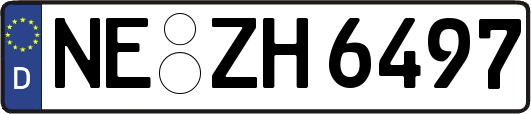NE-ZH6497