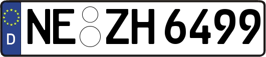 NE-ZH6499