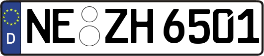 NE-ZH6501