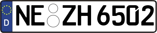 NE-ZH6502