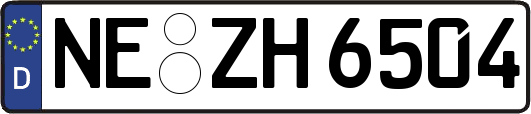 NE-ZH6504