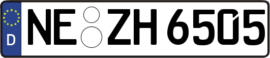 NE-ZH6505