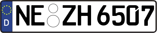 NE-ZH6507